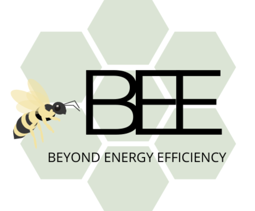 charity beyond energy efficiency